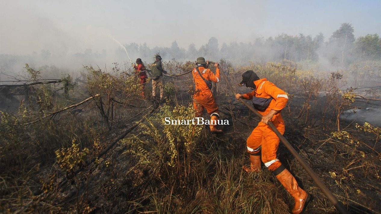Karhutla di Kalsel Bakar Ratusan Hektare Lahan