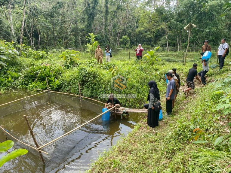 Pemprov Kalsel Salurkan Bantuan Hibah Sarana Budidaya Ikan Gabus